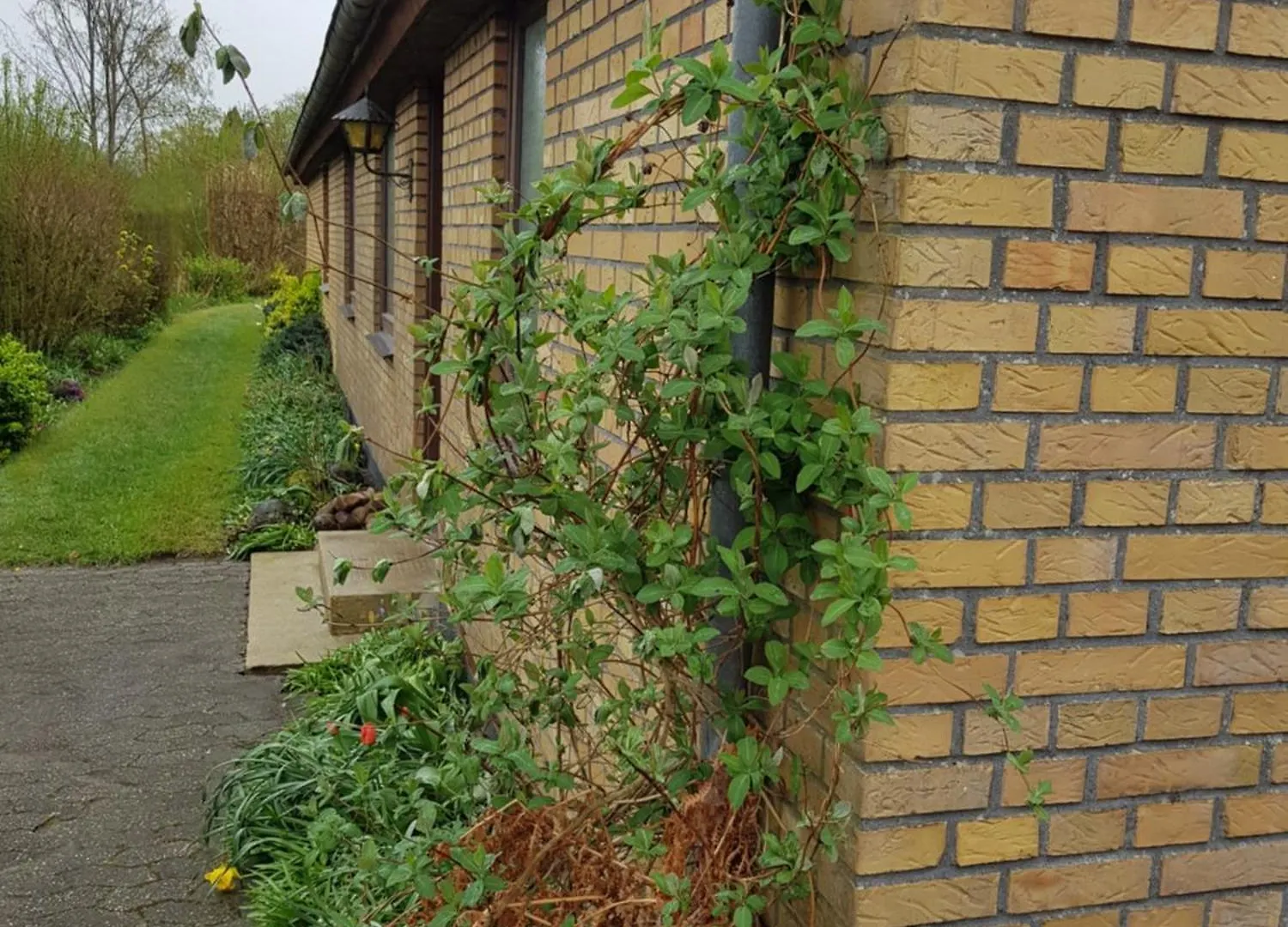 Central Studio In Billund - 500 M From Legohouse Denmark
